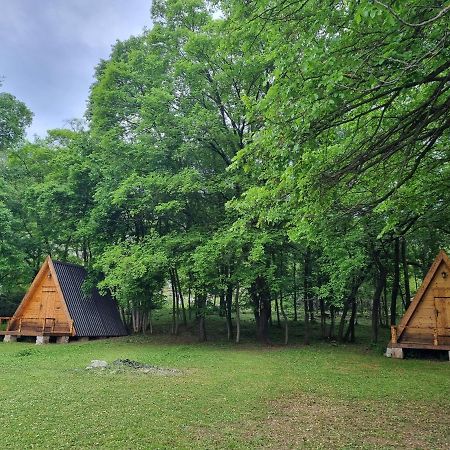 Wolf & Sheep Nature & Adventure Podgorica Eksteriør bilde