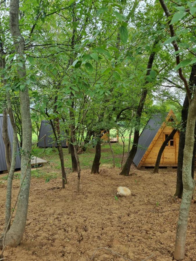 Wolf & Sheep Nature & Adventure Podgorica Eksteriør bilde