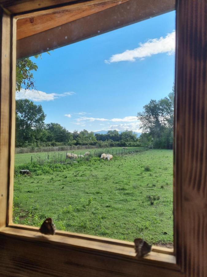 Wolf & Sheep Nature & Adventure Podgorica Eksteriør bilde