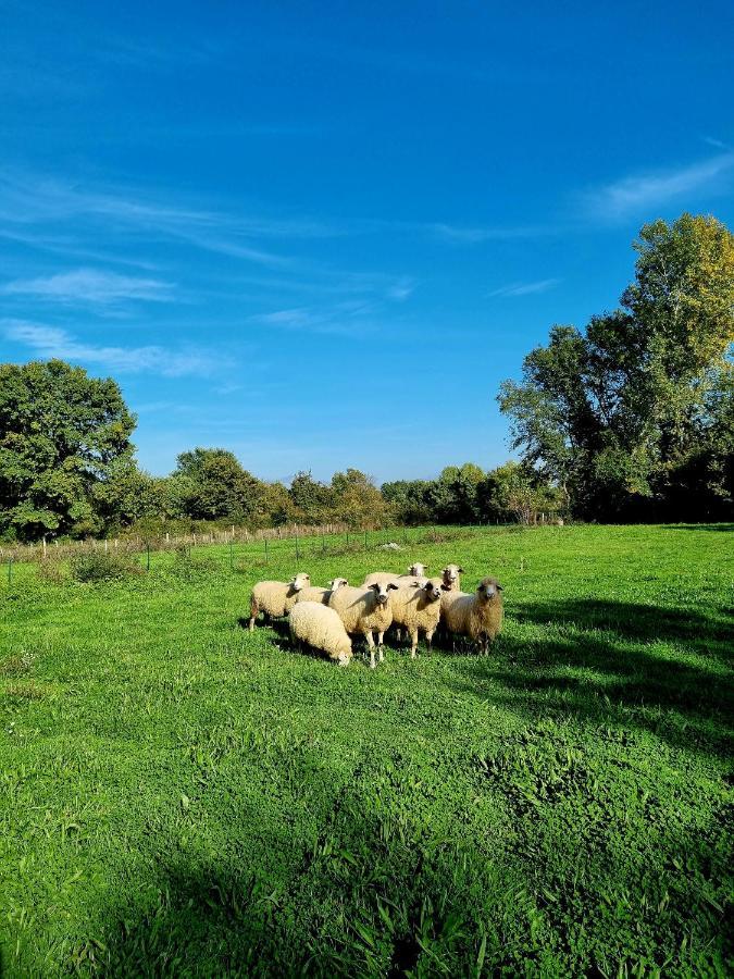 Wolf & Sheep Nature & Adventure Podgorica Eksteriør bilde